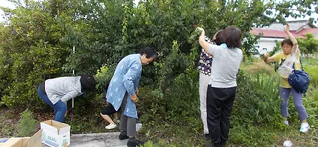 自然に囲まれた静かな環境の中でのびのび過ごせる